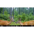 thumbnail image 4 of Shadow Cellular Trail Camera, 4 of 5