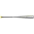 thumbnail image 2 of True Temper Rake 2022 USSSA 2 3/4" Baseball Bat Drop -8, Silver/Yellow, 32.5/24.5, 2 of 5
