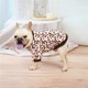 thumbnail image 4 of Chaqueta acolchada de algodón para perros de SHOPESSA con hebilla de tracción para invierno. Cómoda para viajar. Ofertas de acceso anticipado. Ahorros de hasta un 30 % en suministros para mascotas., 4 of 6