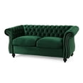 thumbnail image 5 of Emerald Velvet Material - Deep Button Tufted & Nailhead Accents - Living Room - 2-Seat Comfort, 5 of 5