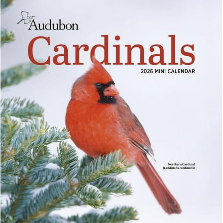 Audubon Cardinals Mini Wall Calendar 2026, (Paperback)