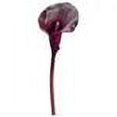 thumbnail image 2 of Club Pack of 24 Eggplant Purple Calla Lily Artificial Floral Craft Sprays 21", 2 of 2