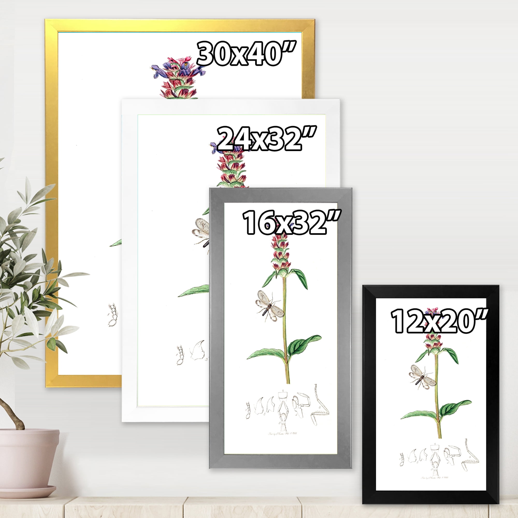Designart 'Ancient Insects and Plants II' Farmhouse Framed Art Print