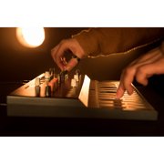 Arturia MicroFreak 25-Key Hybrid Analog-Digital Synthesizer, Black