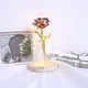 thumbnail image 4 of Eternal Rose, Romantic Rose Flowers Beauty And The Beast Rose Kit Night Lamp Party Wedding Decor Valentine's Day Wedding Gift (red) -zmd, 4 of 5