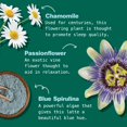 thumbnail image 3 of Superfood Latte Kuli Kuli, vainilla y lavanda con magnesio, 14 porciones, 3 of 7