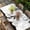 White Black, variant on Vintage Paris Table Cloths for 5 Foot Rectangle Tables, Chic Shabby Retro Landscape Black White Patio Waterproof Elastic Fitted Tablecloths, Washable Rectangular Table Cover for Camping