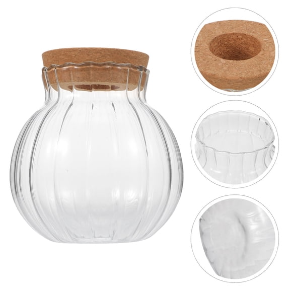 SEWOART Transparent Glass Plant Propagation Vase with Cork Lid for Indoor Hydroponic Planter and Desk Decor