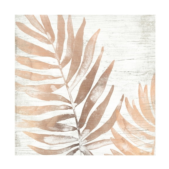 June Erica Vess 'Neutral Palm Fossil II' Canvas Art