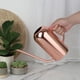 thumbnail image 5 of Regadera de acero inoxidable de 50 oz para interiores y exteriores, para plantas largas Bronce, 5 of 9