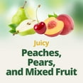 thumbnail image 2 of Del Monte Fruit Cup MZF22 Snacks Variety Pack with No Added Sugar, 4 oz Cups (12 Pack) Diced Peaches, Diced Pears, Cherry Mixed Fruit, 2 of 3