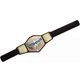 thumbnail image 2 of Juego de rol Kids Title Belt Mattel WWE Estados Unidos EE. UU., 2 of 5