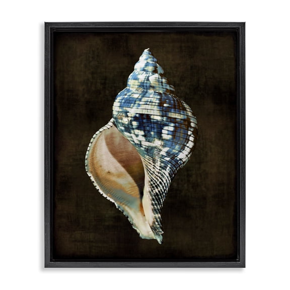 Stupell Industries Coastal Dark Patterned Conch Shell Black Floating Frame Canvas Art, 17 x 21, by Caroline Kelly