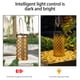 thumbnail image 5 of Advancent Farol solar para exteriores, lámpara de proyección decorativa para paisaje, camino impermeable, calle, jardín, paisajismo, Iluminación y accesorios Plata, 5 of 6