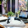 thumbnail image 1 of Simulation Kitty Car Activated Carbon Ornaments Cute Kitty Shape That Can Meow Deodorizing And Decorating The Car Activated Carbon Material Interesting, 1 of 6