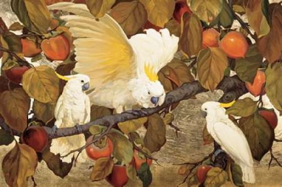 Persimmons and Cockatoos Canvas Art - Jesse Arms Botke ()