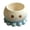 light blue octopus., variant on Lynono Co.,Ltd Whimsical Pet Shape Resin Planter Suitable For Succulents And Office Decoration