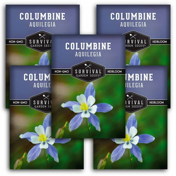 5 Packs Blue Columbine Flower Seeds - Aquilegia - Heirloom Perennial Full Sun