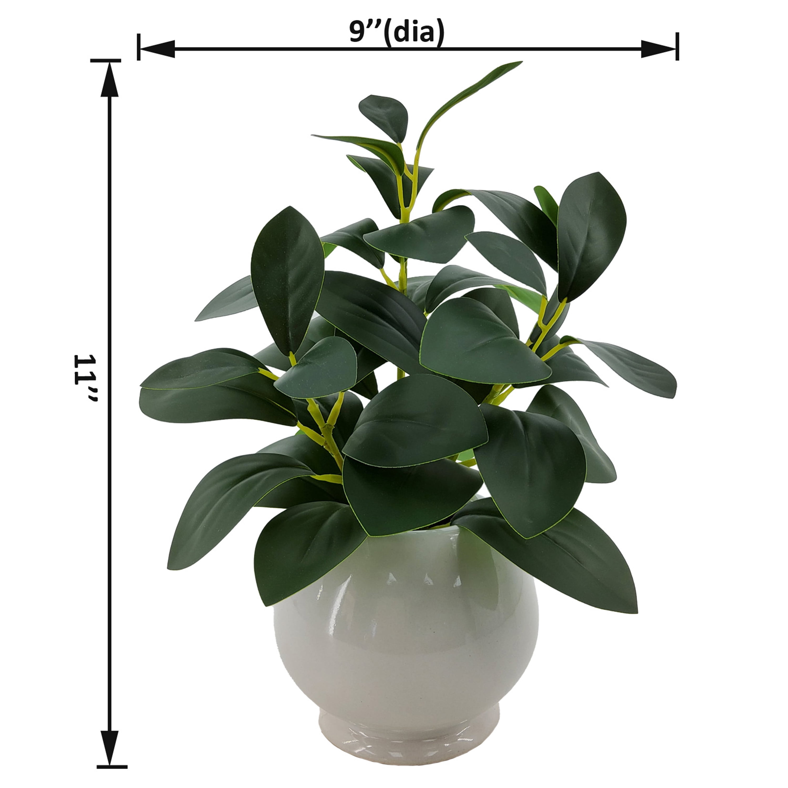 (4 pack) Mainstays Indoor Artificial Peperomia Plant in White Ceramic Pot, 11 in
