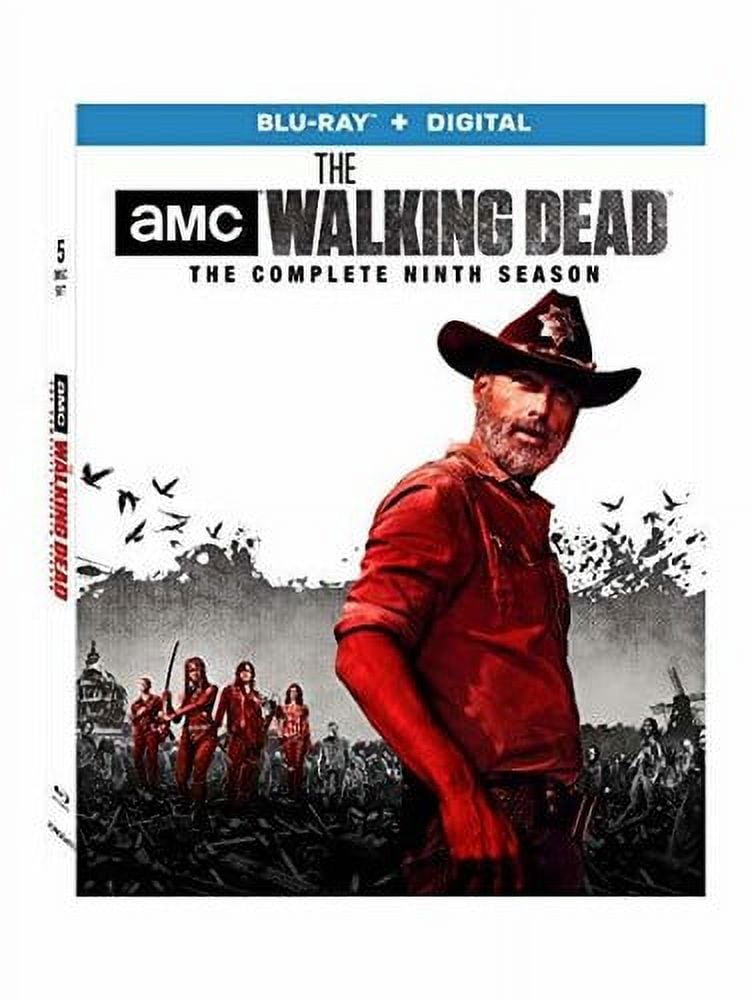THE WALKING DEAD DVD BOX セット ウォーキングデッド Amazon.com: The Walking Dead Complete Series Season 1-10 DVD Set