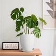 thumbnail image 4 of Ordivic 8 Inch White Ribbed Ceramic Plant Pot with Saucer, Round Planter with Drainage Hole, Modern Glossy Indoor Outdoor Flower Pot for Houseplants, Succulents, Ferns, Monstera Decor, 4 of 6