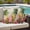 Beige, variant on Tropical Palm Tree Outdoor Pillow Covers 20x12 Inch Lumbar Pillow Covers Set of 2 Waterproof Decorative Throw Pillow Cases Summer Ocean Surfboard Floral Yellow Cushion Covers for Patio Furniture