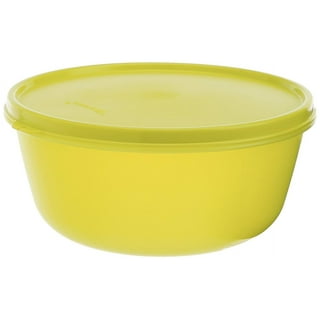 Tupperware Brand Thatsa Mega Prep & Storage Bowl, 10L (42 Cup) - Dishwasher  Safe & BPA Free - Airtight, Leak-Proof Food Container with Lid - Extra