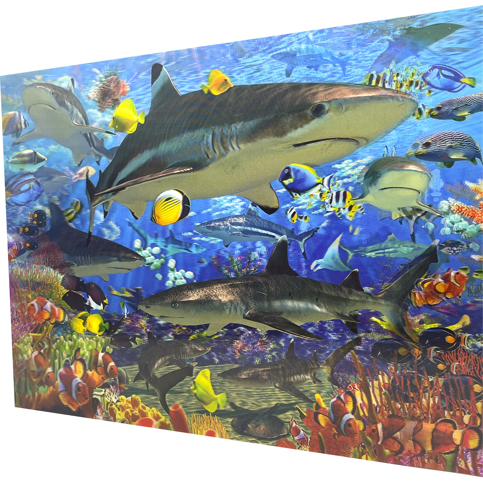 Impact 3D Horizontal Poster Shark Reef