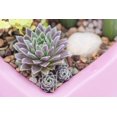 thumbnail image 3 of MOSSER LEE CVR SOIL RIVER GRAVL1.5Q (Pack of 1), 3 of 4