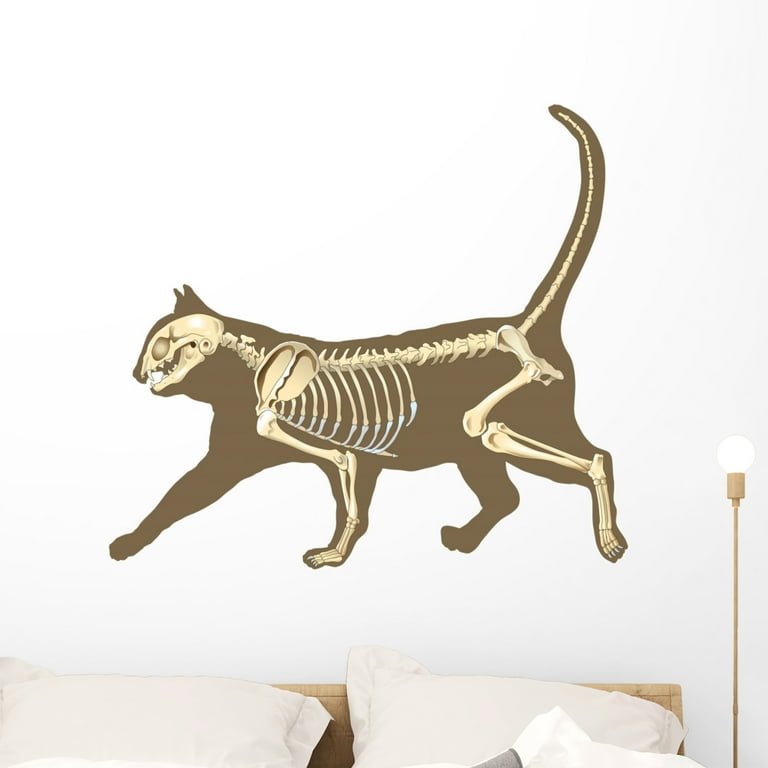 Black Cat Vector Icon Wall Decal -  – Wallmonkeys