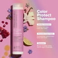 thumbnail image 2 of Paul Mitchell Clean Beauty Color Protect Shampoo, 8.5 oz., 2 of 9