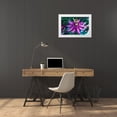 thumbnail image 3 of Needle, Charles 18x13 White Modern Wood Framed Museum Art Print Titled - GA, Alpharetta Passion flower on stained glass, 3 of 4