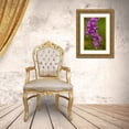 thumbnail image 3 of Illg, Cathy and Gordon 17x24 Gold Ornate Wood Framed with Double Matting Museum Art Print Titled - Europe, Scotland, Cairngorm NP Foxglove flowers, 3 of 4