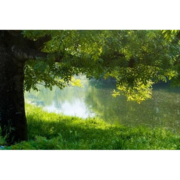 Ason river Ramales de la Victoria Cantabria Spain Poster Print by Prisma Archivo (18 x 12)