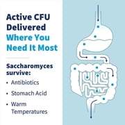 Klaire Labs Saccharomyces Boulardii - Probiotic Supplement to Help Support Healthy Yeast Balance, Immune & Digestive Health - Acid Resistant, Shelf-Stable, Hypoallergenic & Dairy-Free (60 Capsules)