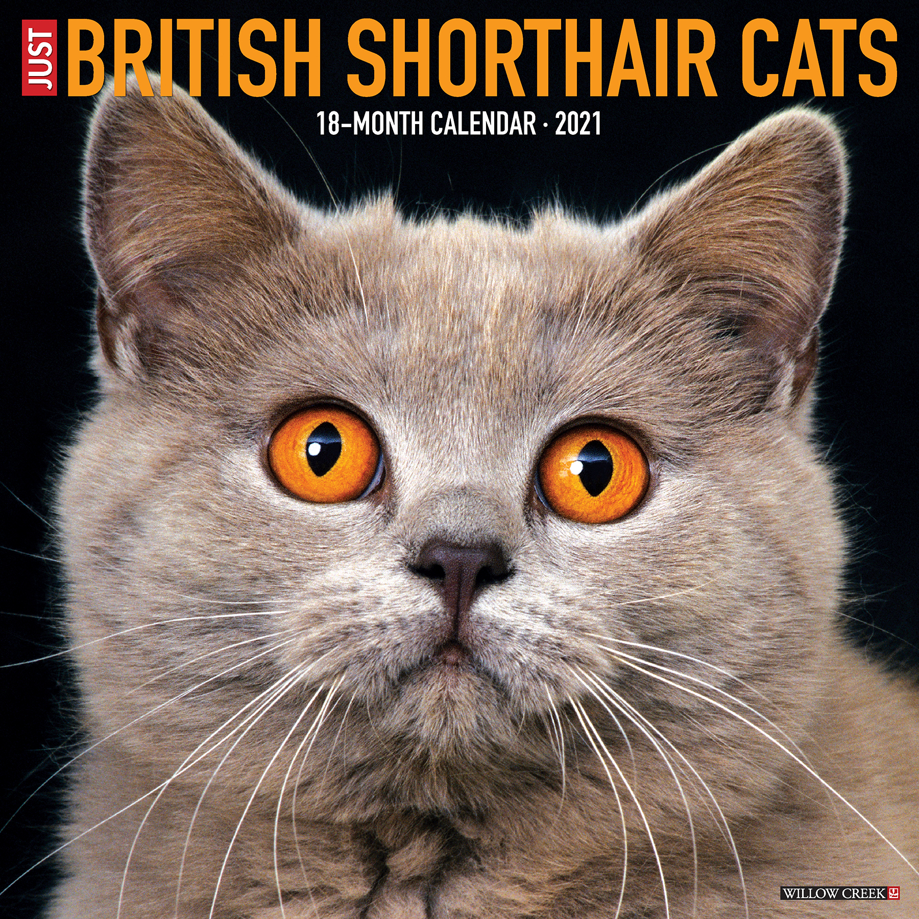 Willow Creek Press 2021 British Shorthair Cats Wall Calendar - Walmart Willow Creek Press 2021 British Shorthair Cats Wall Calendar - Walmart