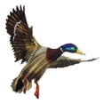 thumbnail image 2 of Next Innovations 101210107 26 x 21 in. Metal Mallard Wall Art, 2 of 2
