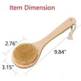 thumbnail image 5 of 2025 Latest Model Dry Bath Body Brush Back Scrubber 9.84", Short Handle Natural, 5 of 5