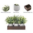 thumbnail image 4 of Plantas artificiales de eucalipto falsas con bandeja de madera, paquete de 3 unidades Dahey, 4 of 6