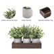 thumbnail image 4 of Plantas artificiales de eucalipto falsas con bandeja de madera, paquete de 3 unidades Dahey, 4 of 6