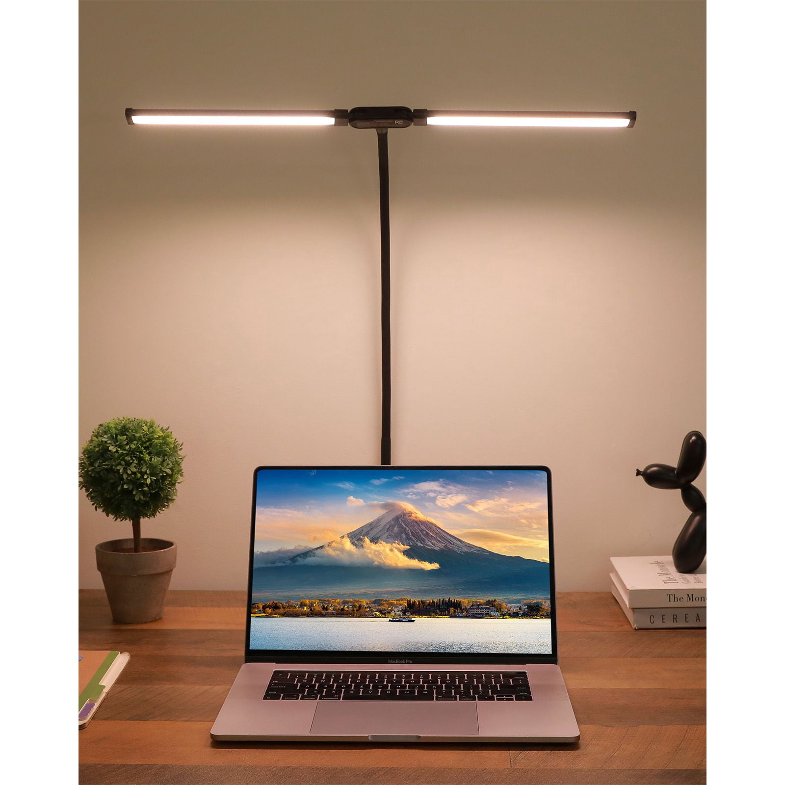 Dranite 2 Head Clamp-On LED Desk Lamp, 360° Adjustable Gooseneck for Study & Workspace