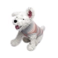 thumbnail image 2 of Suéter Tejido para perro Med Zatopet Holanda, 2 of 3