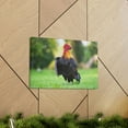 thumbnail image 6 of Majestic Rooster Art Majestic Rooster Print Animal Wall Art Wildlife Canvas Prints Wall Art Ready to Hang Unframed, 6 of 18