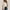 Khaki, variant on Baysbule Women Solid Color Plus Size Casual Summer Short Sleeve Open Front Cardigan Lightweight Comfortable