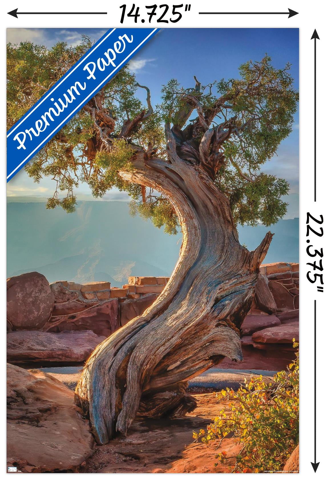 Beth Sheridan - Dead Horse Point Wall Poster, 14.725" x 22.375"