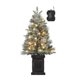 thumbnail image 1 of 3-foot snow-flocked mini artificial christmas tree featuring 8-mode warm blanca leds, 1 of 6