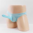 thumbnail image 3 of Conjunto de ropa interior sexy transparente de seda helada para hombre, calzoncillos de cintura baja con nariz de elefante, ropa interior para hombre, 3 of 6