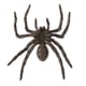 thumbnail image 4 of Figura de juguete de simulación de animal, figura decorativa para el hogar, araña, 4 of 6
