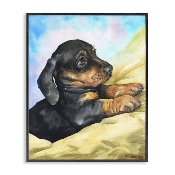 Stupell Industries Eclectic Cute Dachshund Puppy Dog Pet Animal Watercolor Black Framed Giclee Art, 11 x 14, by George Dyachenko