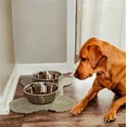 thumbnail image 6 of 25 Stainless Steel Dog Bowl Animal Dish Wholesale Bulk Packs 6 Sizes Available (160 oz = 5 Quarts), 6 of 7